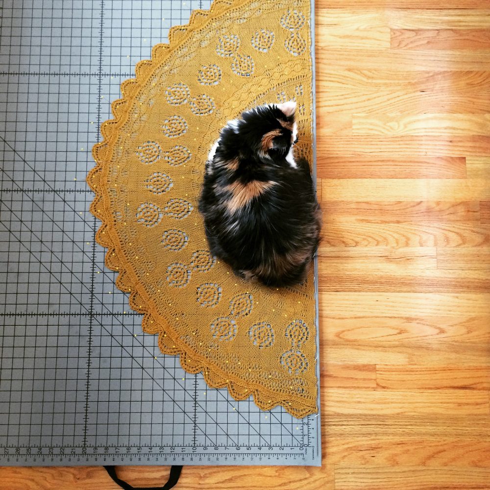 Cat sitting on blocking shawl
