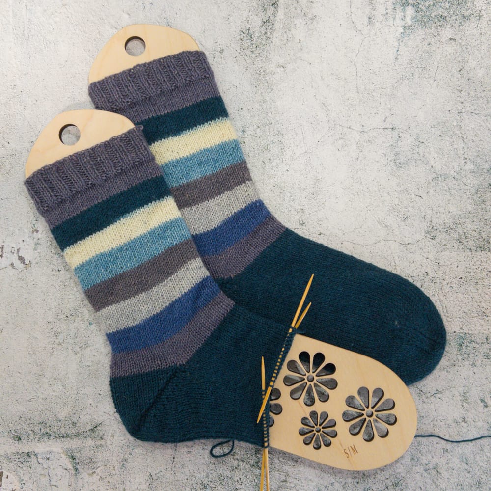 Regia Pairfect Sock Yarn Project