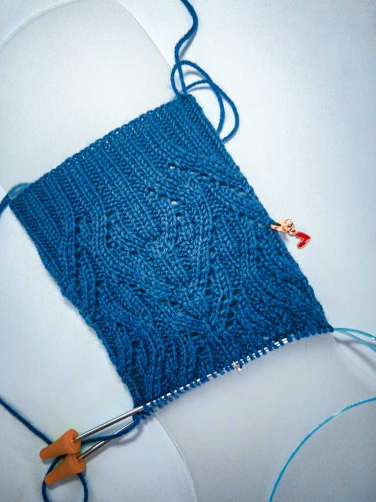 Indivisible Socks WIP