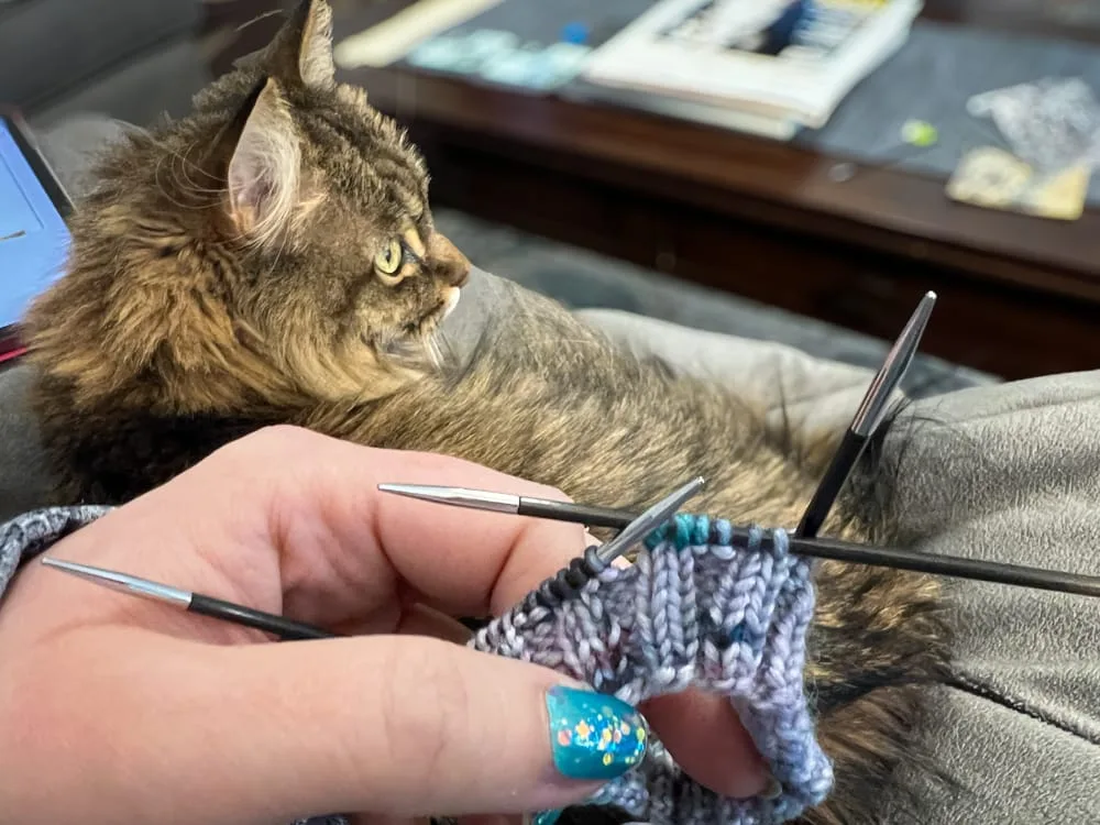 Sock Knitting with Cats