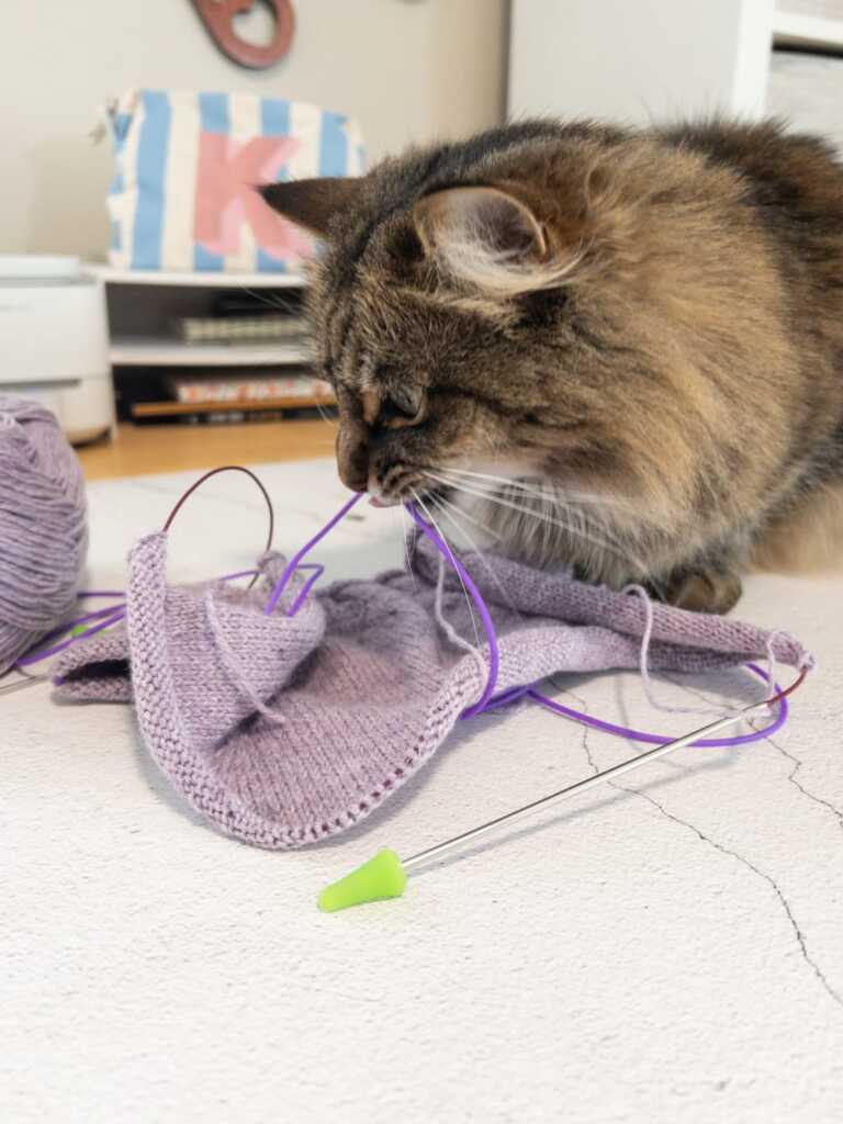 Knitting with Cats